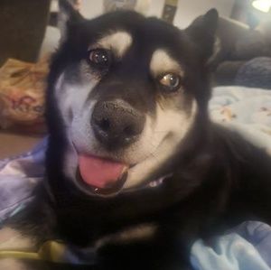 Meet your Posher, Michele